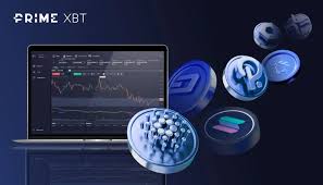 Discover the World of Cryptocurrency Trading with PrimeXBT