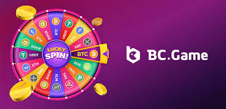Understanding Bc Co Login Your Gateway to an Exciting Adventure