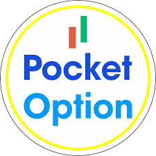 A Comprehensive Guide to Pocket Option France 14