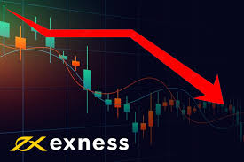 Discover the Exness Web Platform for your Trading Needs