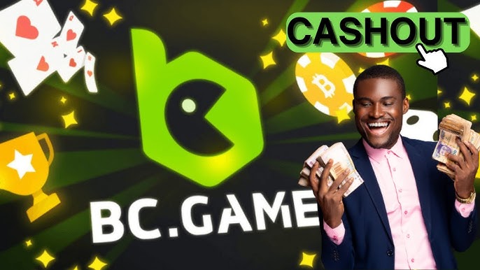 Exploring the World of BCigra A Comprehensive Guide
